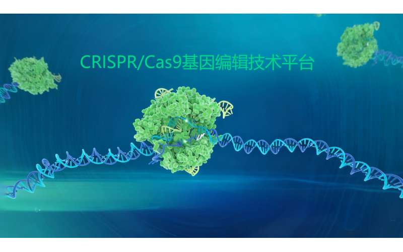 CRISPR/Cas9基因編輯技術(shù)平臺(tái)